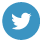 Twitter social icon