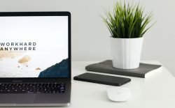 laptop on desk with plant