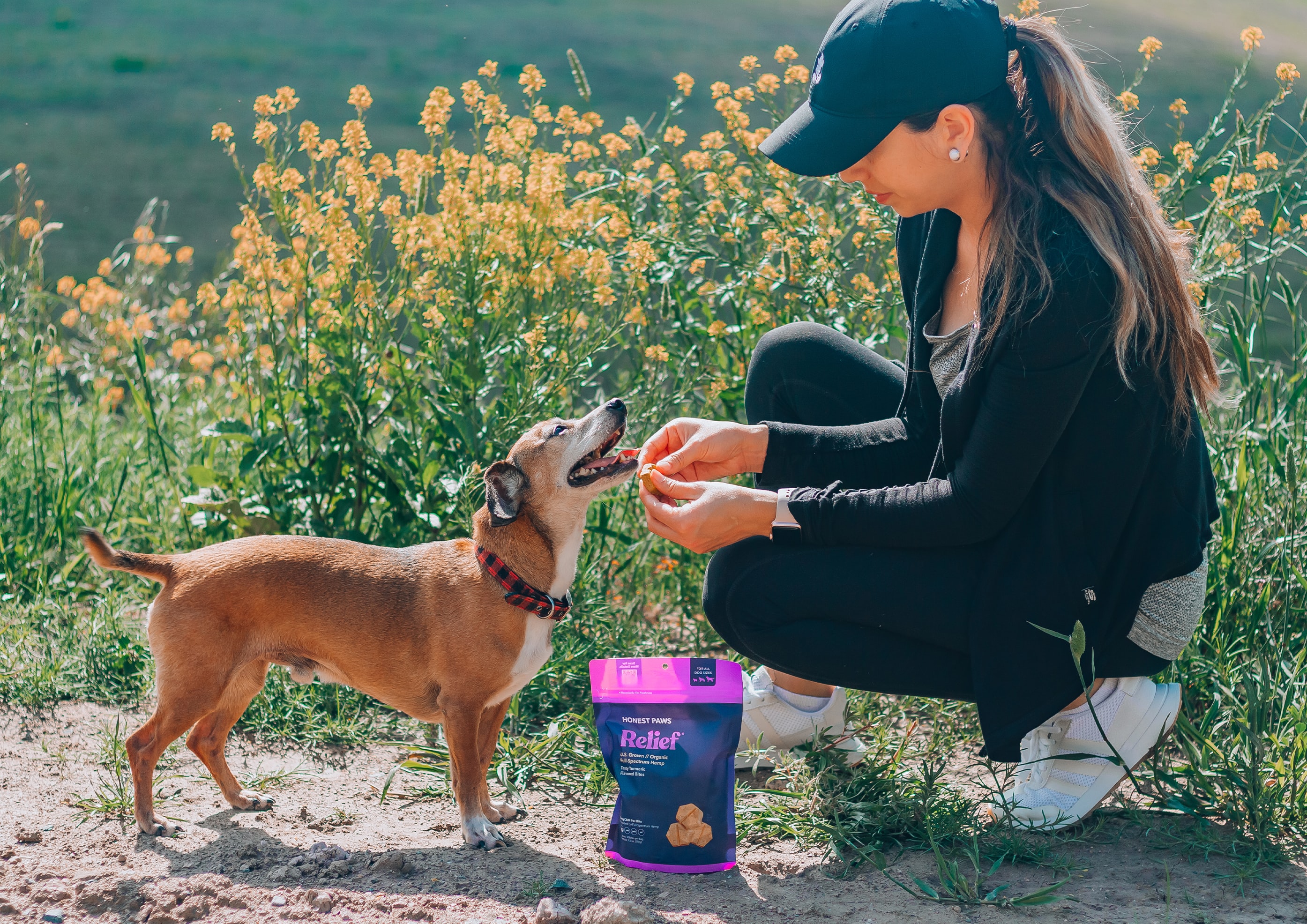 5 Women-Owned Pet Companies Shaping the Industry | ForceBrands Newsroom