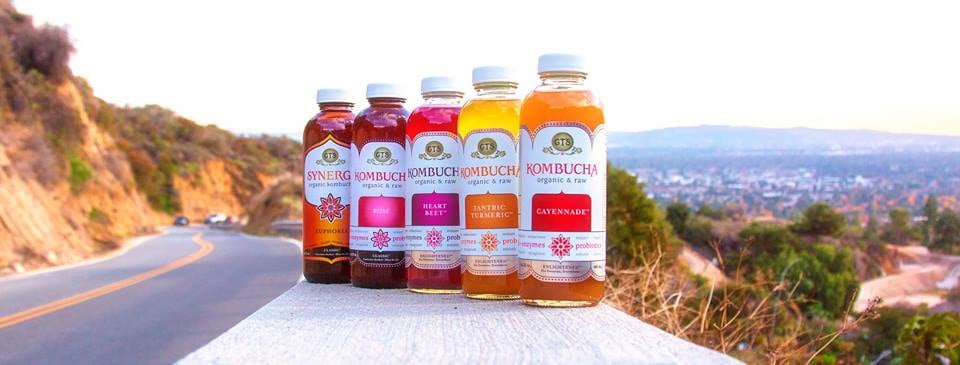 GT Kombucha