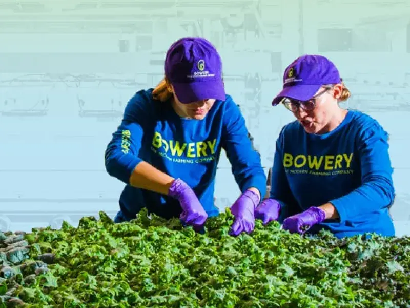Chief Sales Officer at Bowery Farming