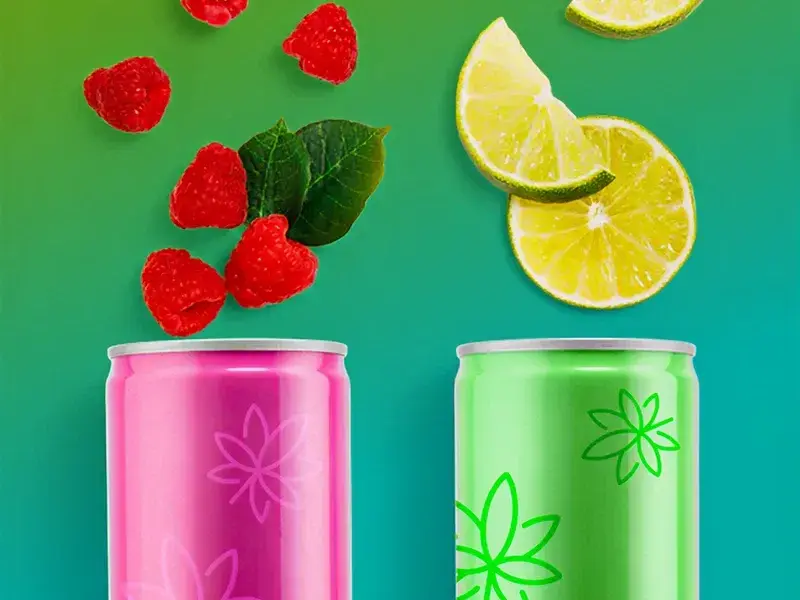 Strategic Hires Position Brand for Leadership in Hemp Beverage Market