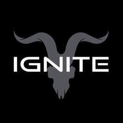 Ignite Distribution  logo