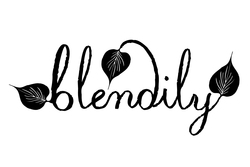 Blendily logo