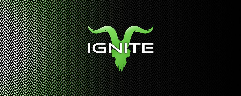 Ignite Distribution  cover image