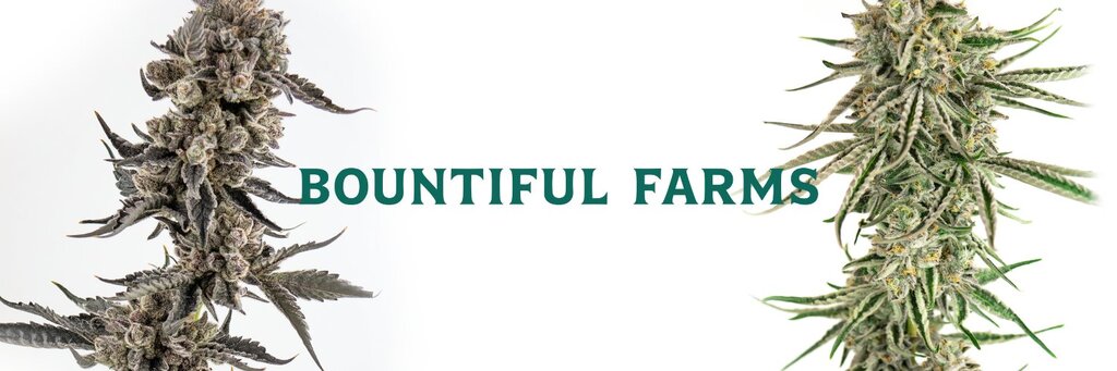 Bountiful Farms cover image