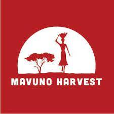 Mavuno Harvest logo