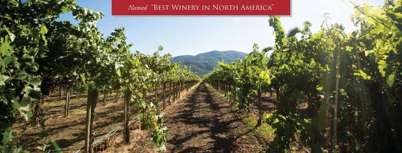 Peju Winery cover image