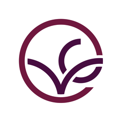 Vine Connections logo