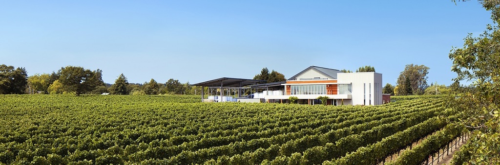 Ron Rubin Winery cover image